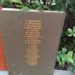 Đôi cánh + Kinh nghiệm tình ái combo 1002602