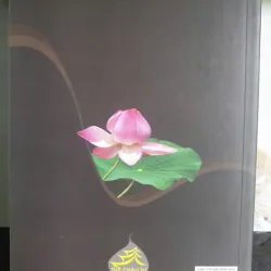 Sách Công Đức Phóng Sanh-Võ Viên Nhân tác giả Viên Nhân mới 90% 640629