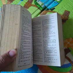 Từ Điển Trung - Việt 995067