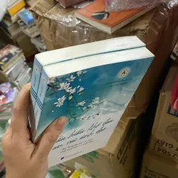 Thấu hiểu khổ đau, an vui ánh đạo 1029586