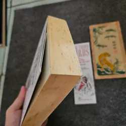 Những con chim ẩn mình chờ chết ( bản dịch khác của Tiếng chim hót trong bụi mận gai) 736921