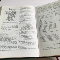 2. 📚 NHỮNG CÂY THUỐC VÀ VỊ THUỐC VIỆT NAM – Đỗ Tất Lợi Bìa cứng, khổ to, 1.272 trang 557999
