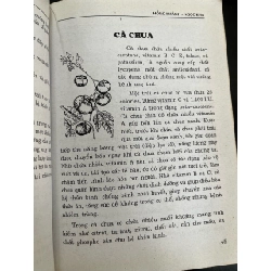 Những bài thuốc dân gian rau, củ, quả trị bệnh - Hồng Khánh 936480