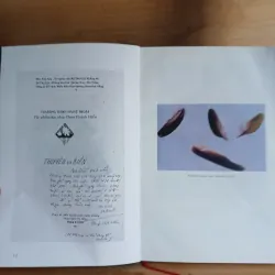 PHAN HUỲNH ĐIỂU Thuyền & Biển - Hoàng Minh Nhân biên soạn 990601