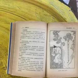 BÁCH XÍCH LÂU BÍ MẬT VĂN HOÁ - bản Tiếng Trung  1030261