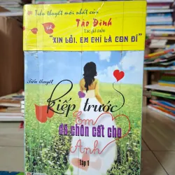Kiếp trước em đã chôn cất cho anh (Tập 1)