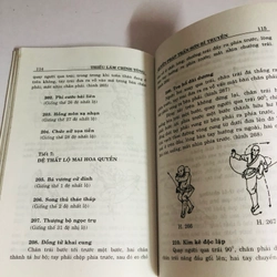 THIẾU LÂM CHÍNH TÔNG QUYỀN PHÁP TRẤN SƠN BÍ TRUYỀN 542307