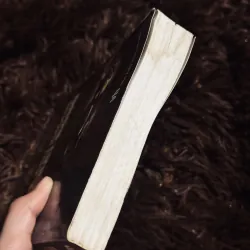 Đèn không hắt bóng 745666