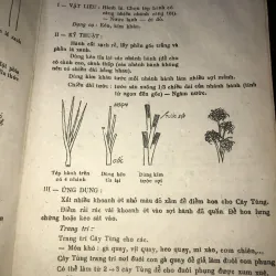 Kỹ thuật trang trí hoa quả & tỉa rau củ  1043523