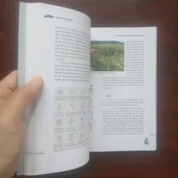 [Sách Văn Hóa] Chữ Hán Trung Quốc (Hán Giám Đường) Full Color 937000