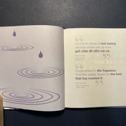 Sự tha thứ- Dani DiPirro 1031503