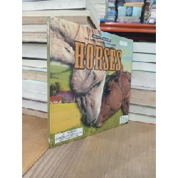 Groovy Tube Book series