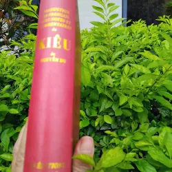 Kieu de Nguyen Du 960887