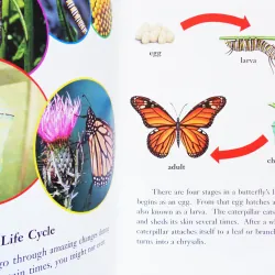 Butterflies! (Leveled Readers) 14224