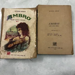 Ambrơ Kiếp hồng nhan (Bộ 2 tập)