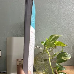 Ielts fighter- Fighter Foundation 752028