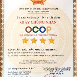 Trà giải độc thành nhiệt Thái Bình, AP Phú Hưng 1kg ( 100g x 10 gói)  745628