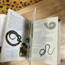 Pockets: Reptiles 1022230