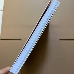 Chiếc Birkin màu Cam - Alex Tu 731594