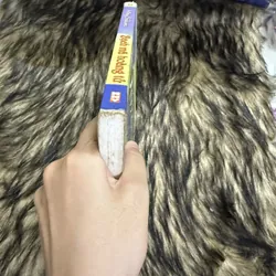 Bạch mã hoàng tử  599781