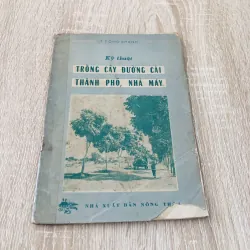 KỸ THUẬT TRỒNG CÂY ĐƯỜNG CÁI THÀNH PHỐ, NHÀ MÁY