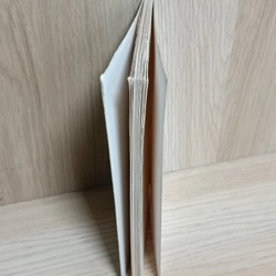 Nghệ thuật tiểu thuyết (Milan Kundera) 474658
