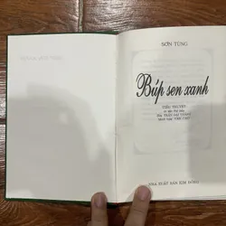 Búp sen xanh - Sơn Tùng (6) 719212