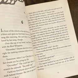 ✨𝑬𝒙𝒕𝒓𝒂𝒐𝒓𝒅𝒊𝒏𝒂𝒓𝒚 𝑩𝒊𝒓𝒅𝒔✨ 711930