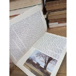 KRONBORG: Billedbog, Picturebook, Illustrierter Führer, Guide Illustré 750175