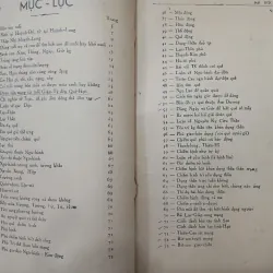 ĐẠI DIỆC TOÀN BỘ 561581