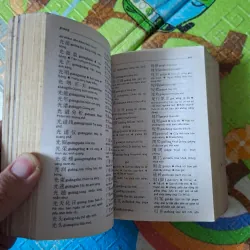 Từ Điển Trung - Việt 995067