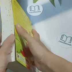 Sự nhầm lẫn tai hại - Bộ Vi Lan 688633