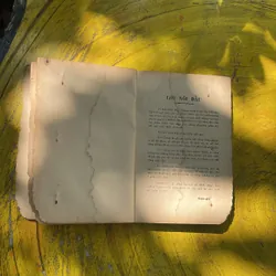 ĐỒNG ÂM DẪN GIẢI VÀ MẸO LUẬT CHÍNH TẢ- TRẦN VĂN THANH 713223