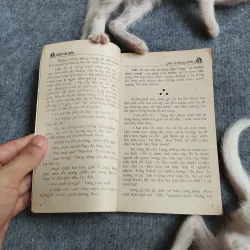 MỘT VÀ BỐN - HÀ LÊ SONG ANH 567811