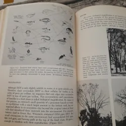 Sách ngoại văn Anh. ENVIRONMENT AND MAN. Dr Richard H. Wagner -State Colleg.  Oct 1970 733496