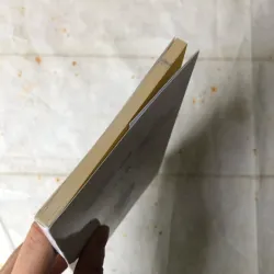 Chuyện Mèo Mun Tìm Mẹ Và Những Ánh Sao Đêm - Việt An 783085