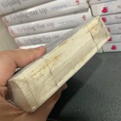 (truyện dài) - Công ty - Phan Hồn Nhiên 990157