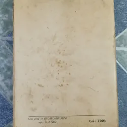 Hình luật đặc biệt Việt Nam - Hà Như Vinh 701493