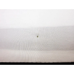 Tơ tằm Echodō Oguni - Hàng hiệu Authentic 875526