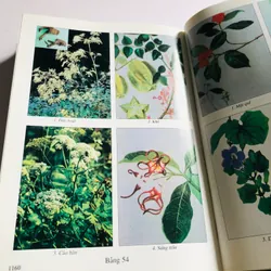 2. 📚 NHỮNG CÂY THUỐC VÀ VỊ THUỐC VIỆT NAM – Đỗ Tất Lợi Bìa cứng, khổ to, 1.272 trang 557999