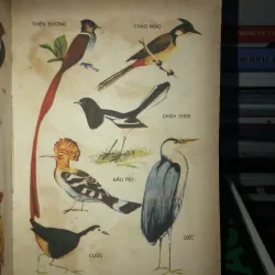 Từ điển học sinh   786811