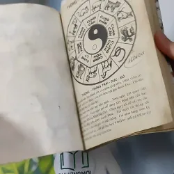 Cao Ly Đầu Hình 928568