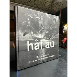 Hải âu