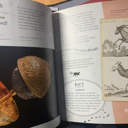 Sách Harry Potter - A Journey Through a History of Magic của Bloomsbury mới 90%