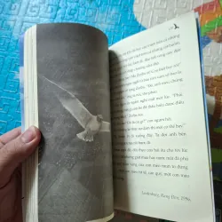 Chuyện con mèo dạy hải âu bay" 974691