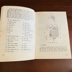 Thực hành xoa bóp chữa bênbj  695602