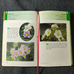 [Bìa cứng] Từ điển tranh về các loài hoa - Lê Quang Long 590816