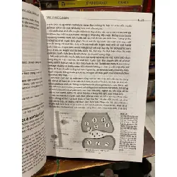 Tâm lý học căn bản - Roberts Fieldman 696942