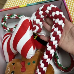 Hộp quà thú cưng mới 99% 760911