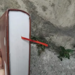 Tiến trình văn hóa Việt Nam từ khởi thủy đến thế kỷ XIX 1020969